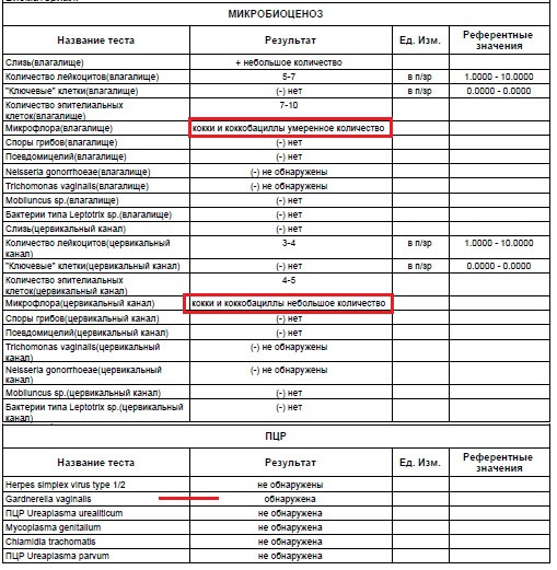 Умеренный дисбиоз у женщин в мазке
