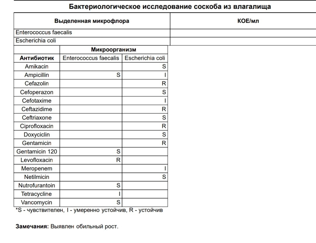 Схема лечения эшерихия коли в мазке