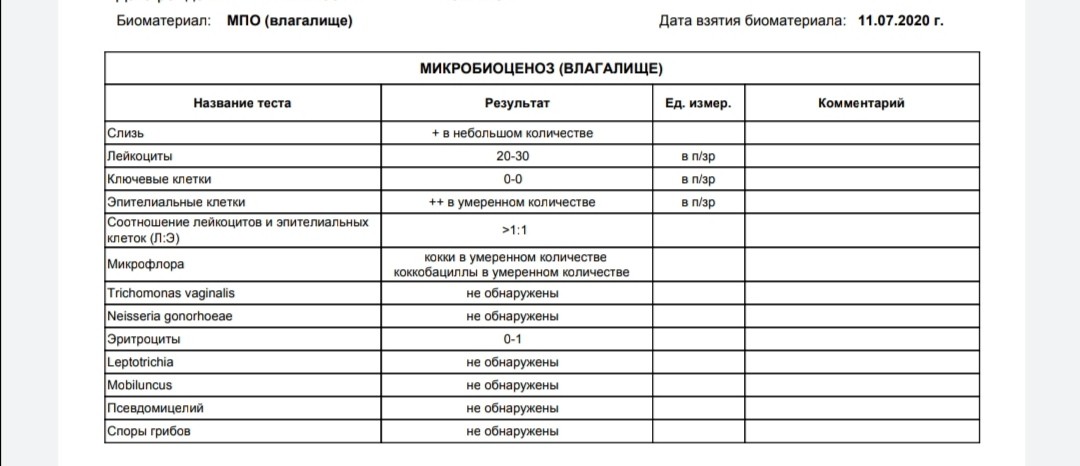 Количество клеток в образце 500 что значит у женщин в мазке