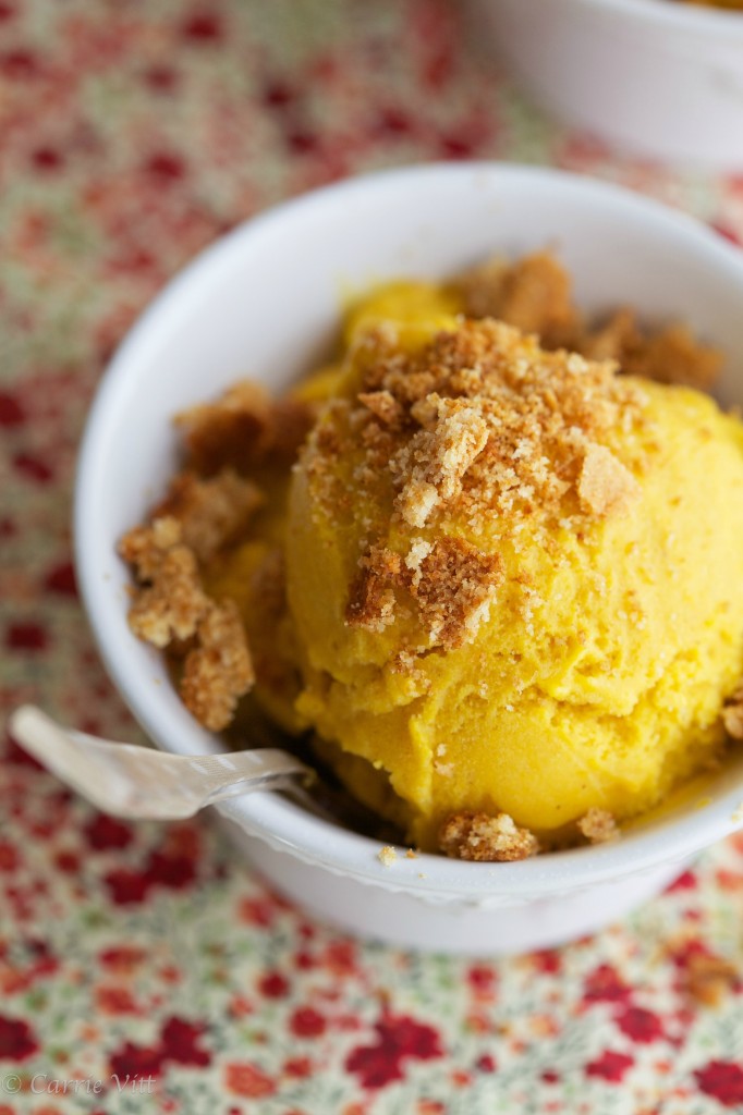 Pumpkin ice cream with crushed homemade graham crackers sprinkled overtop. Pure, fall bliss in a bowl.