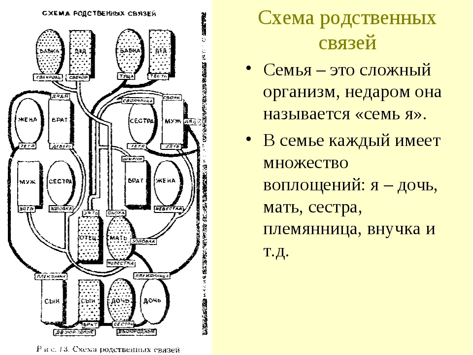 Схема родственных связей в русской семье