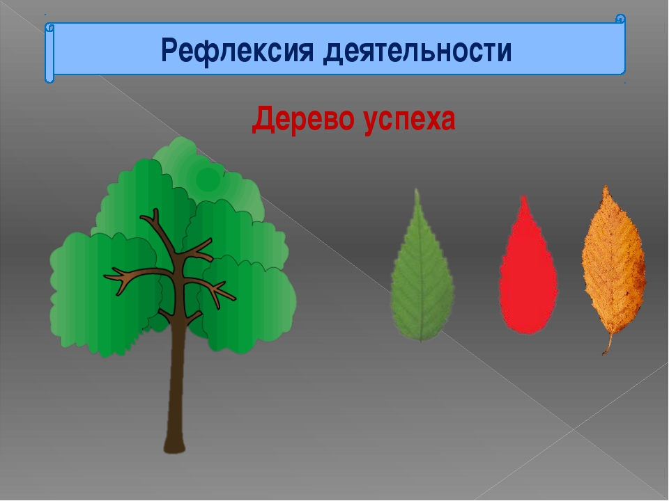 Дерево успеха рефлексия картинки