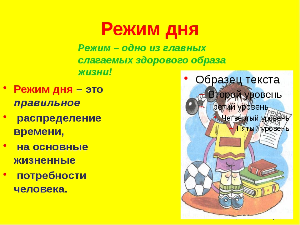 Режим дня презентация 8 класс по биологии