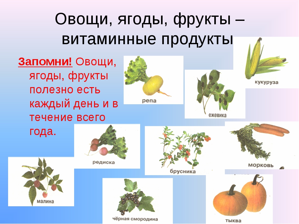 Овощи фрукты группа. Овощи ягоды и фрукты витаминные продукты. Плодовые овощи презентация. Овощи ягоды фрукты полезные продукты. Презентация на тему овощи ягоды и фрукты витаминные продукты.