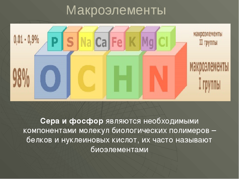 4 макроэлемента. Макроэлементы. Макроэлементы в организме человека. Макроэлементы элементы. Макроэлементы названия элементов.