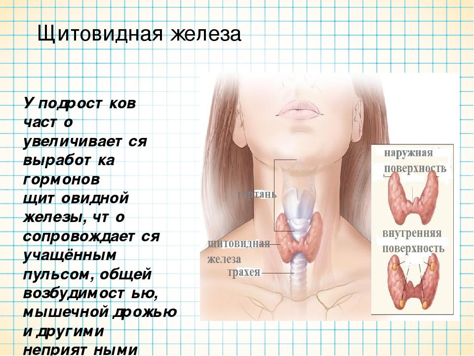 Заболевания щитовидной железы у детей презентация