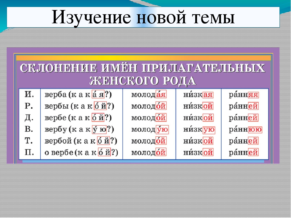 Русский язык 4 класс тема склонение. Склонение имен прилагательных женского рода таблица. Склонение прилагательного женского рода. Склонение имён прилагательных женского рада. Склонение имён прилагательных женскогорода.