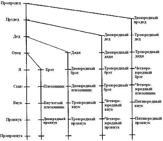 Степени родства схема