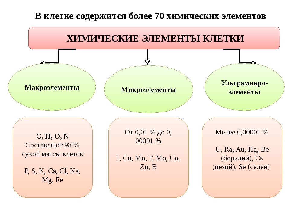 Презентация макроэлементы и микроэлементы