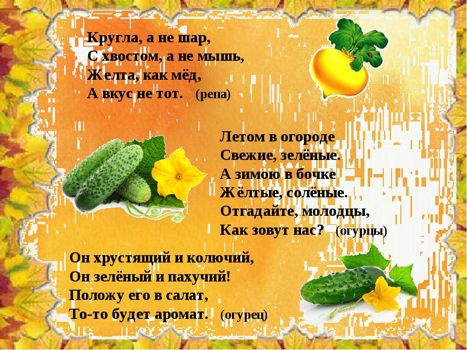 Загадка осенью веселит. Загадки на тему урожай. Загадки на тему осень. Загадки про урожай. Осенние загадки с картинками.