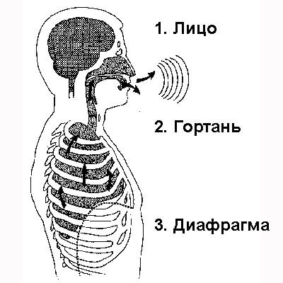 12 упражнений для улучшения речи и голоса