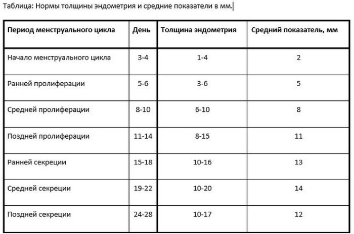 Эндометрий по дням цикла. Нормы толщины для зачатия, ЭКО, при беременности, менопаузе, длинном цикле, в фазе пролиферации, неоднородный