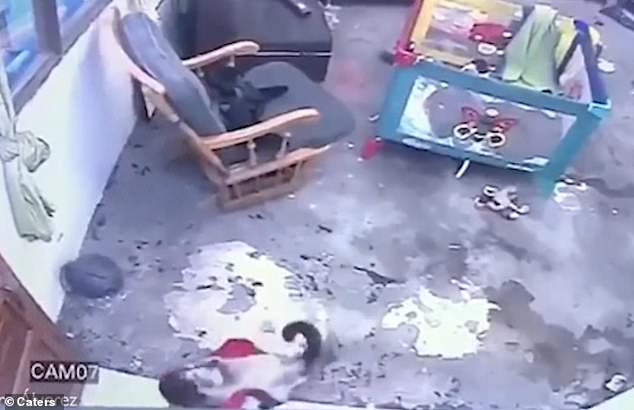One-year-old Samuel León was saved from falling down 12 steps at his home in Bogota, Colombia, after the family