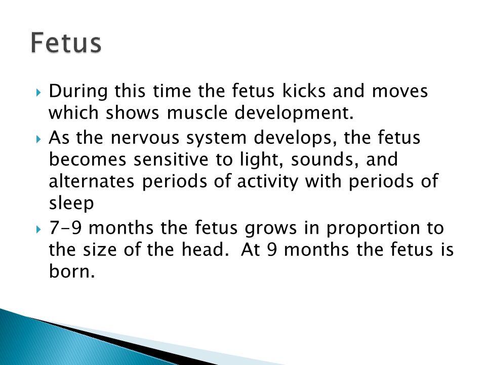  During this time the fetus kicks and moves which shows muscle development.