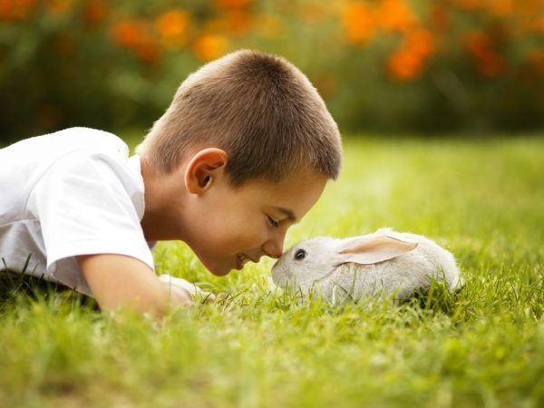 Мальчик с кроликом