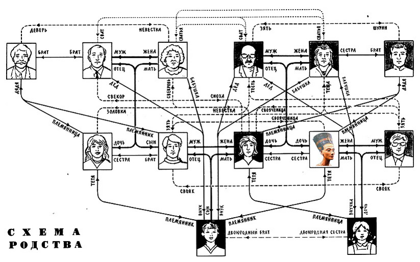 Схема родства кто кому
