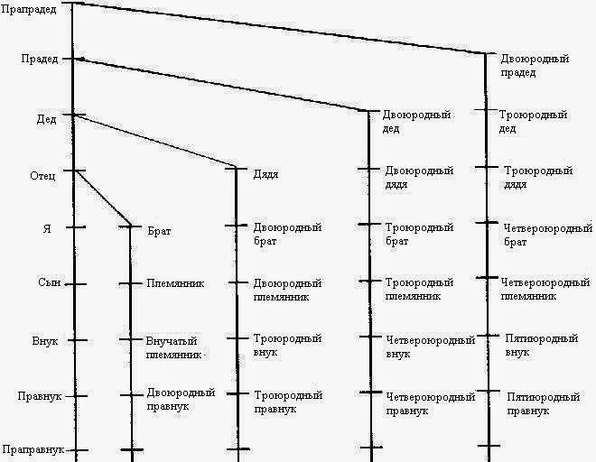 Родство кто кому кем приходится схема полная