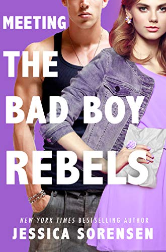Meeting the Bad Boy Rebels: A Reverse Harem Series (The Undercover Files Book 1)