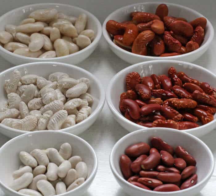 comparing dried beans and canned beans, cooked and uncooked