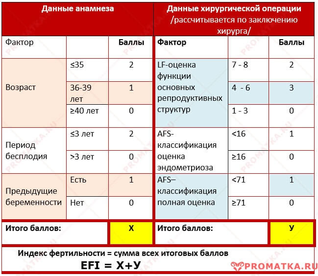 Таблица расчёта EFI  