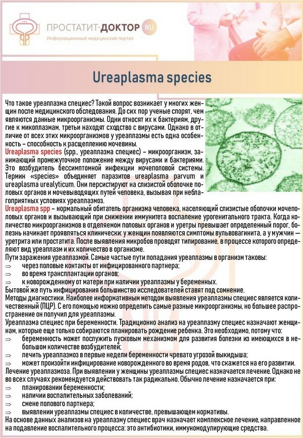 Лечение уреаплазмы у женщин препараты схема лечения парвум