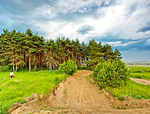 Moskovskaya oblast scenery