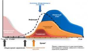 Динамика инфекции