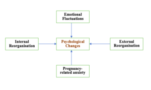 Psychological changes during pregnancy