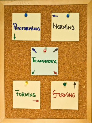 Sticky notes on a cork board showing the stages of team development