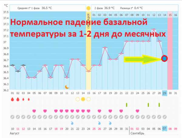 Поднимается температура калина